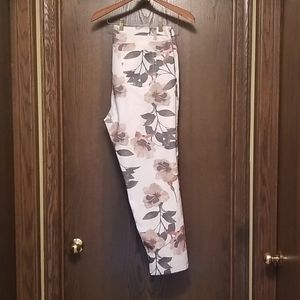 Soft Surroundings capri Pants 18W